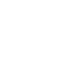 Lit and More Official Website